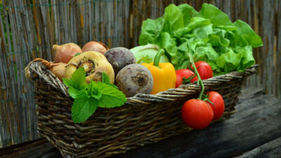 3 bonnes raisons d’installer une serre dans son jardin