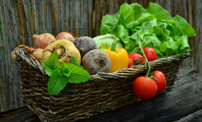 3 bonnes raisons d’installer une serre dans son jardin