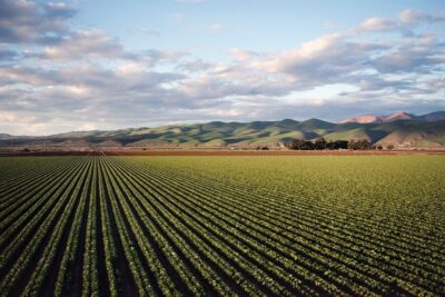 Comprendre les conversions de terrains : 1 hectare équivaut à combien de m2 ?